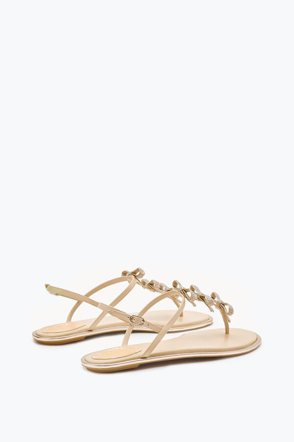 gioiello caterina nudo thong sandal 10 rene caovilla