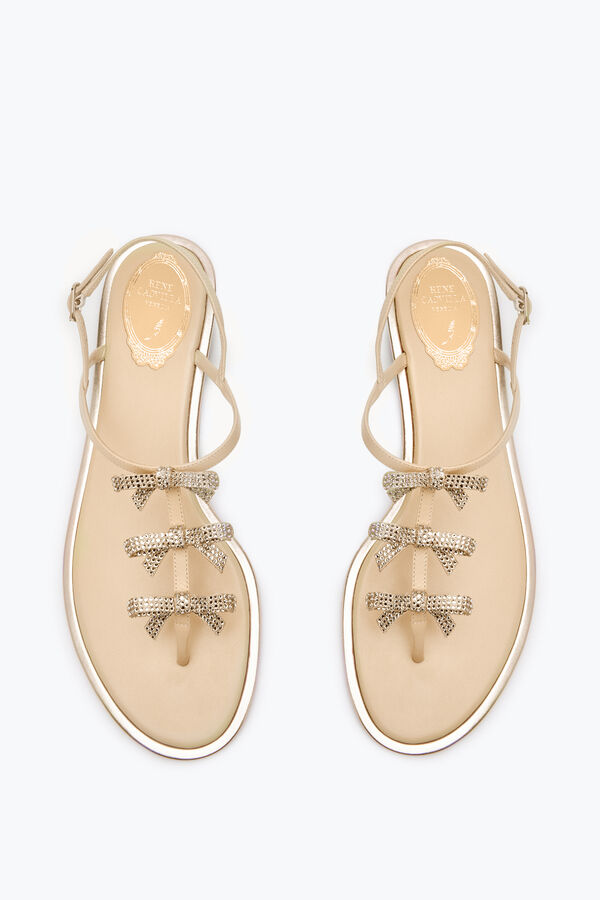 gioiello caterina nudo thong sandal 10 rene caovilla