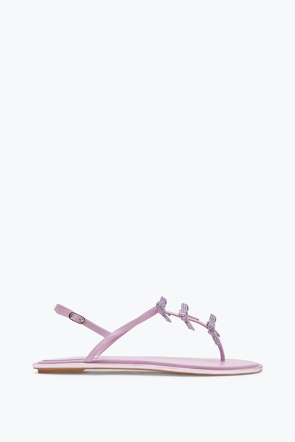 gioiello caterina malva thong sandal 10 rene caovilla