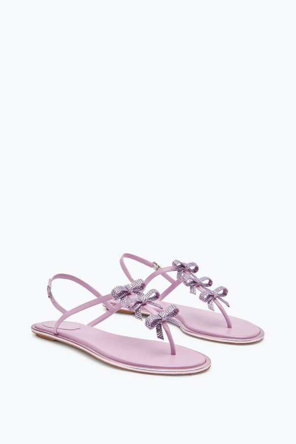 gioiello caterina malva thong sandal 10 rene caovilla