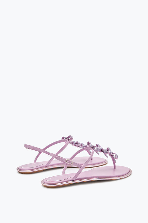 gioiello caterina malva thong sandal 10 rene caovilla