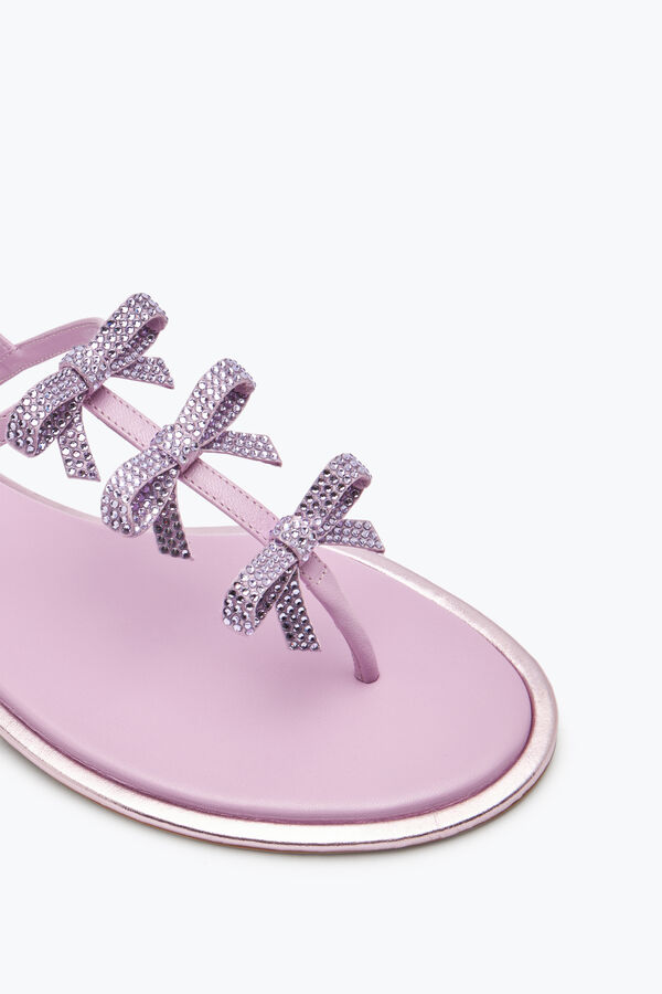 gioiello caterina malva thong sandal 10 rene caovilla