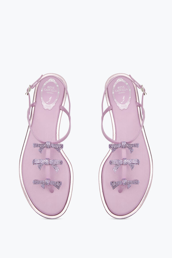 gioiello caterina malva thong sandal 10 rene caovilla