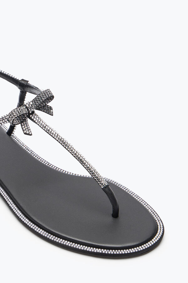 gioiello caterina nero thong sandal 10 rene caovilla