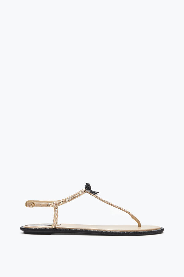 gioiello caterina miele thong sandal 10 rene caovilla