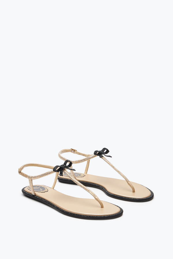 gioiello caterina miele thong sandal 10 rene caovilla