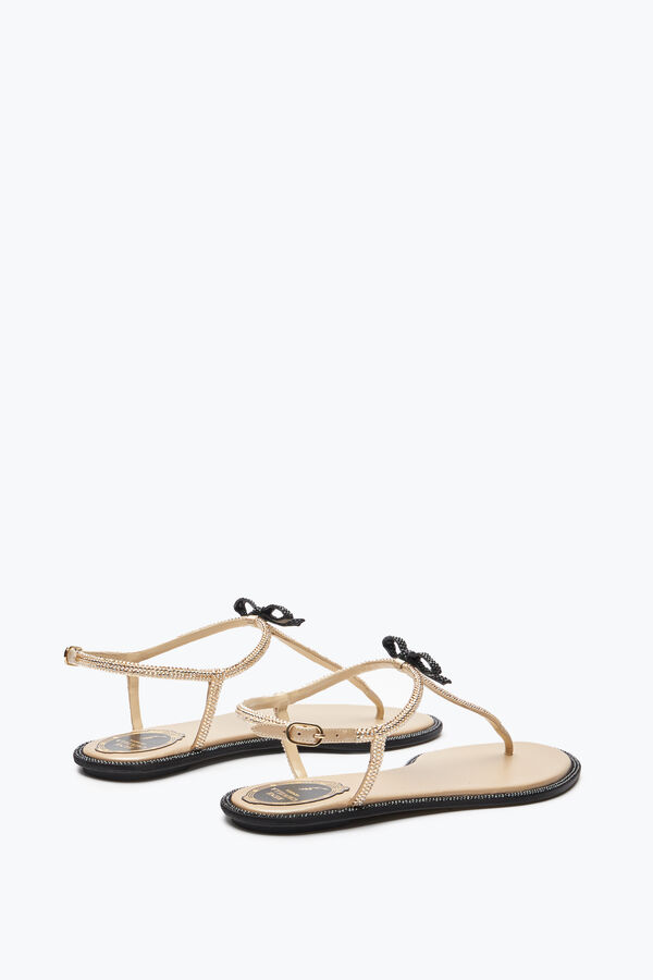 gioiello caterina miele thong sandal 10 rene caovilla