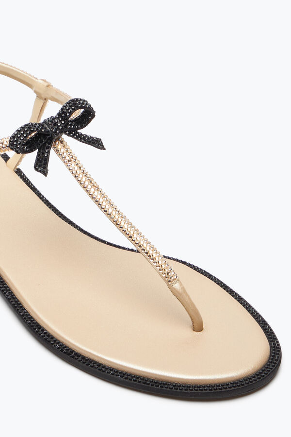gioiello caterina miele thong sandal 10 rene caovilla