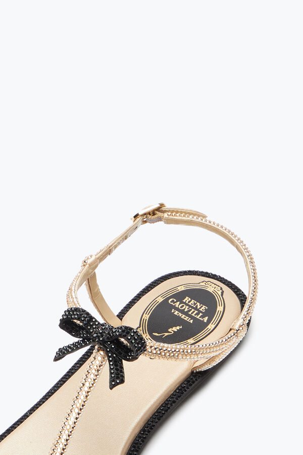gioiello caterina miele thong sandal 10 rene caovilla