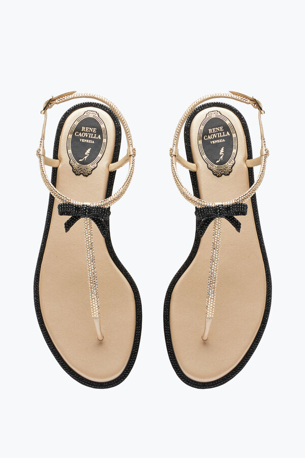 gioiello caterina miele thong sandal 10 rene caovilla