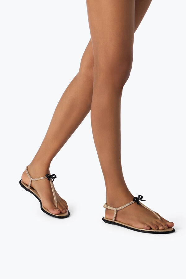gioiello caterina miele thong sandal 10 rene caovilla