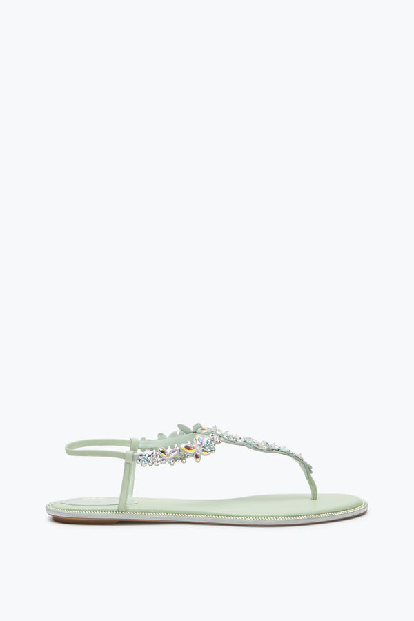 gioiello eden verde menta thong sandal 10 rene caovilla