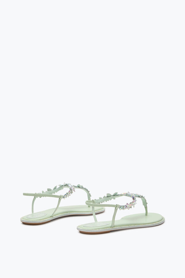 gioiello eden verde menta thong sandal 10 rene caovilla