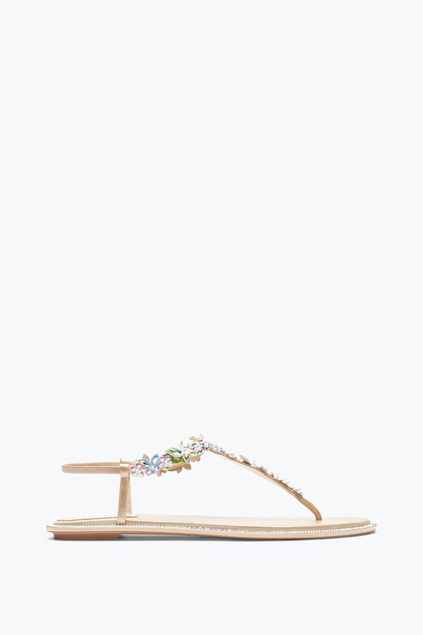 gioiello eden nudo thong sandal 10 rene caovilla