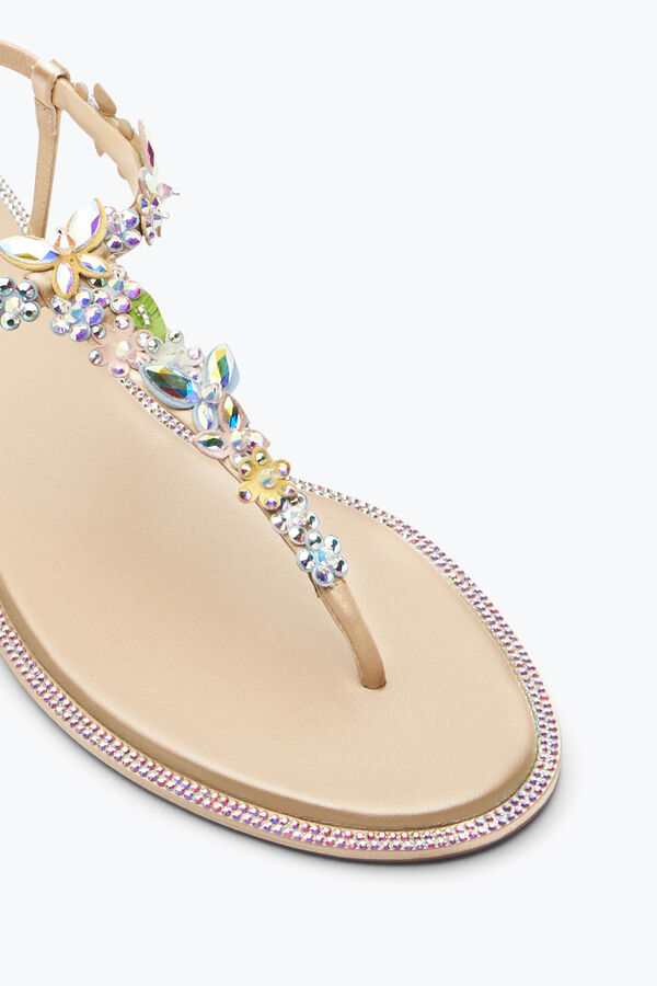 gioiello eden nudo thong sandal 10 rene caovilla