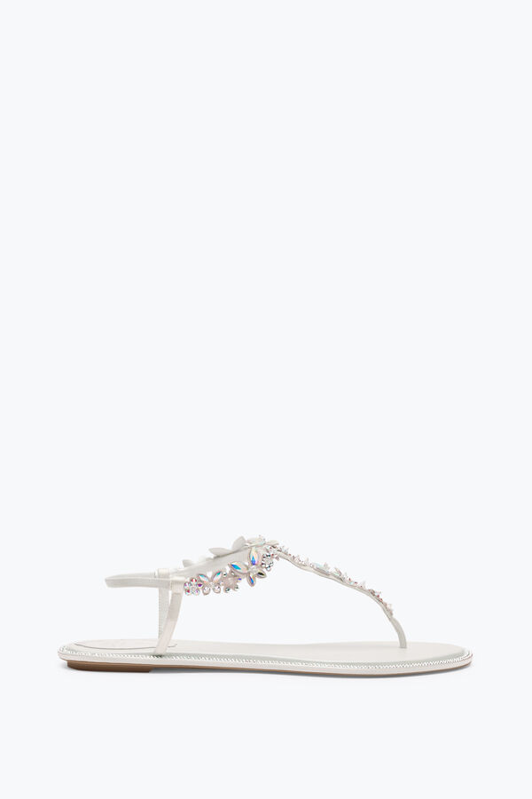 gioiello eden avorio thong sandal 10 rene caovilla