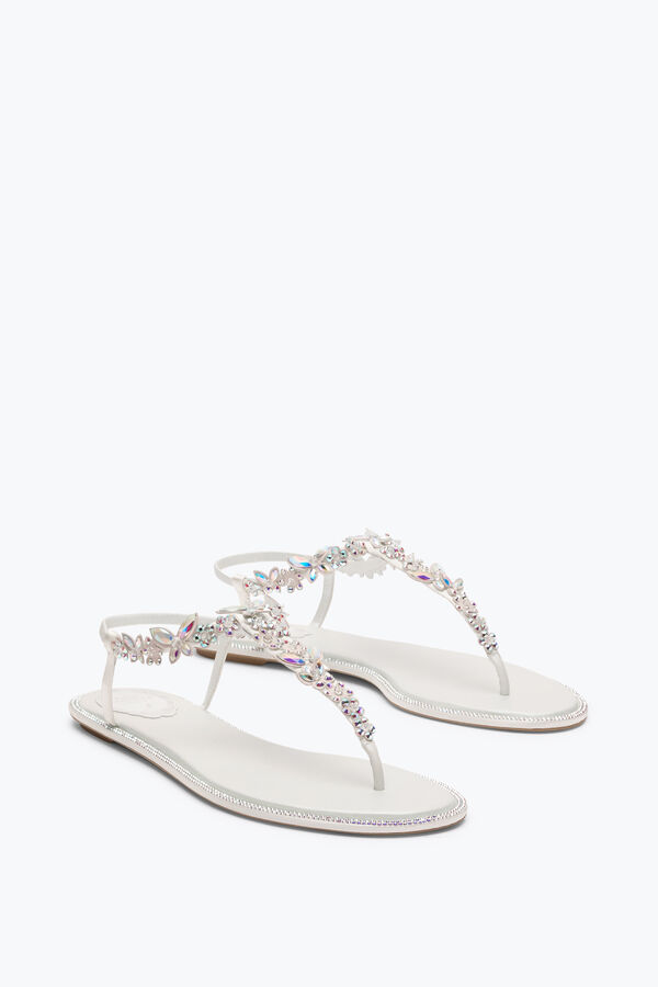 gioiello eden avorio thong sandal 10 rene caovilla