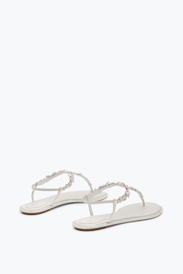 gioiello eden avorio thong sandal 10 rene caovilla