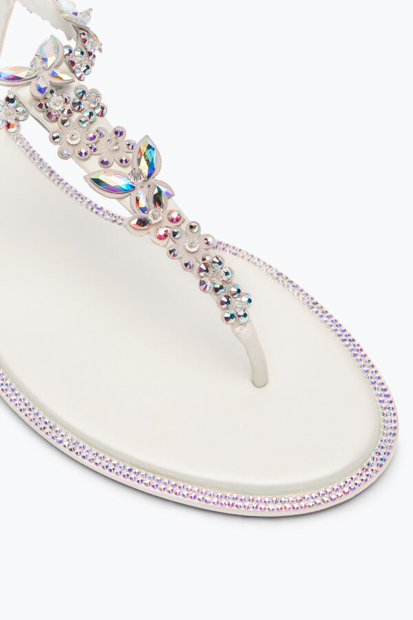 gioiello eden avorio thong sandal 10 rene caovilla