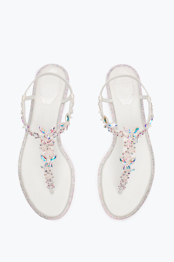 gioiello eden avorio thong sandal 10 rene caovilla