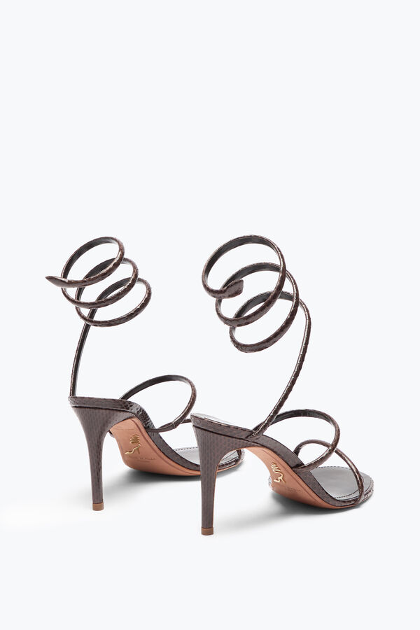 gioiello cleo marrone ayers sandalo in pelle 80 rene caovilla